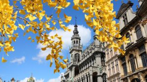 What to do in brussels september october 2024