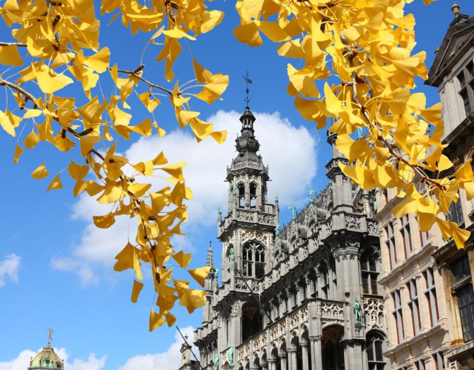 What to do in brussels september october 2024