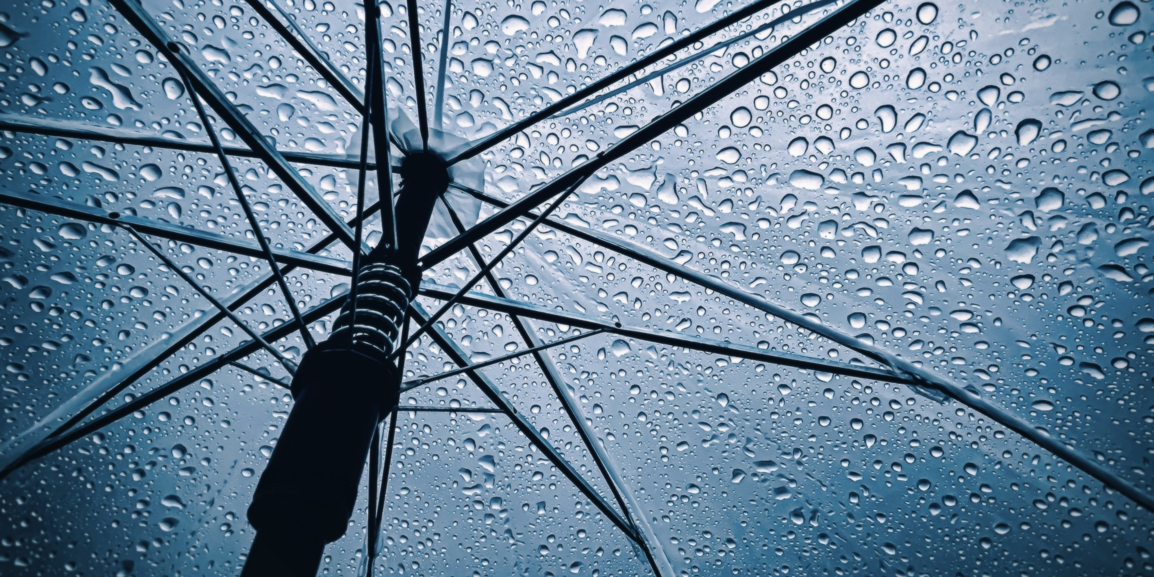 drip-drop-thumbnail
