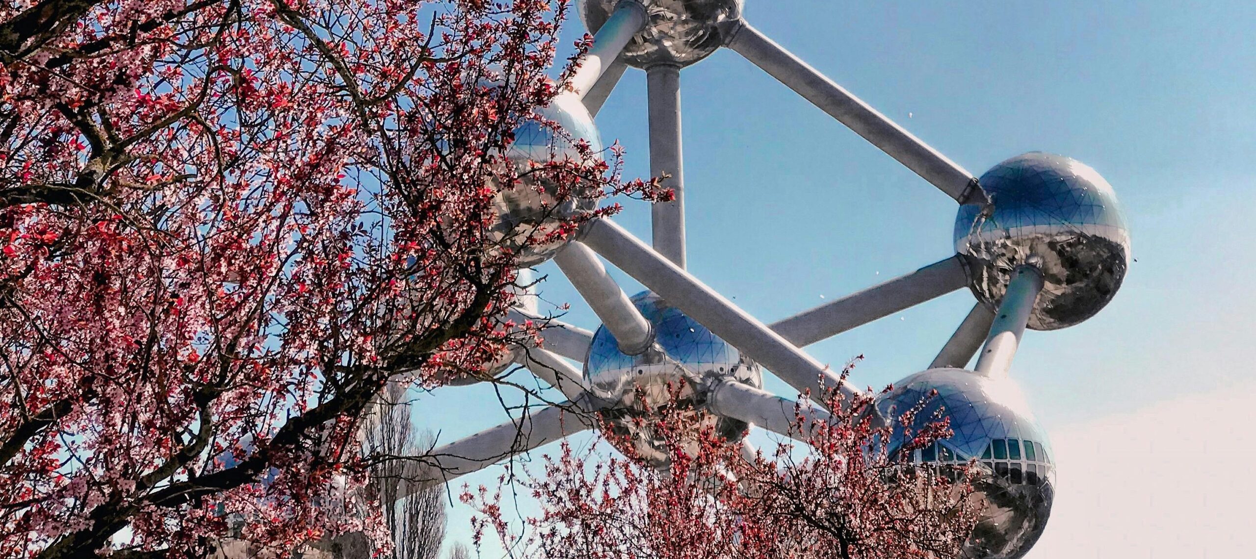 pexels-nathalia-rosa-1168565-2227985